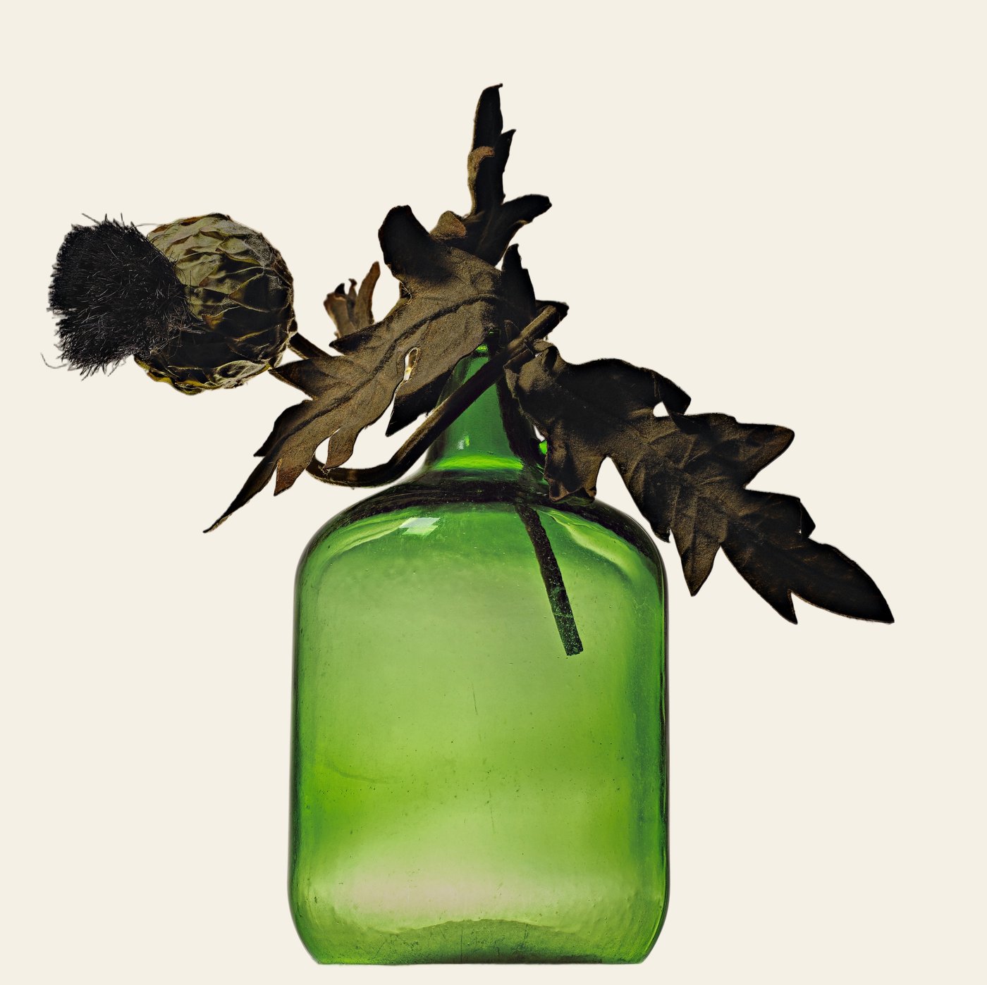 The glass jar and thistles cut out and placed on a cream background